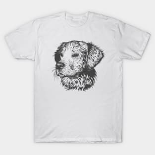 Dog T-Shirt